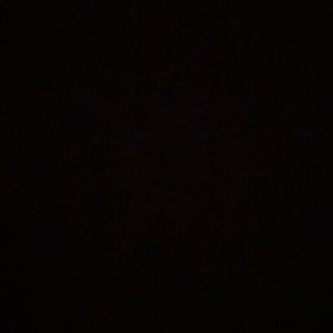 Meet your Posher, Leila